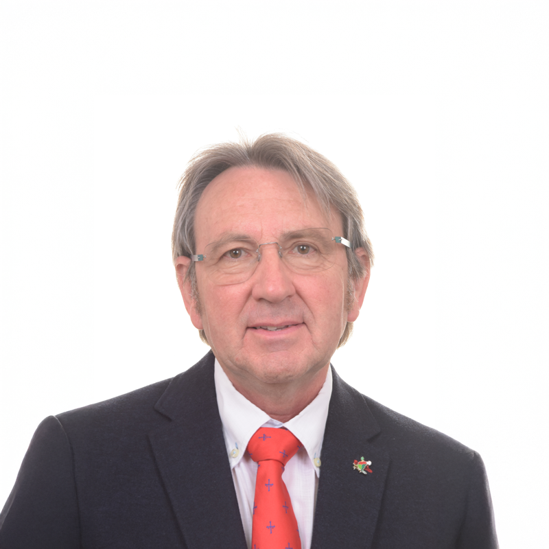 D. Santiago Cosculluela
