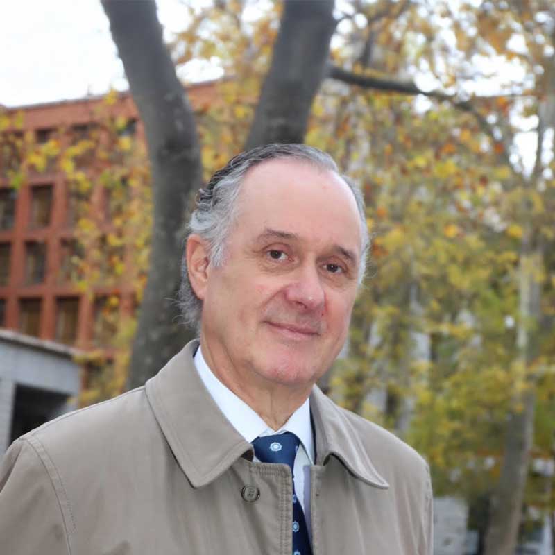 Sr. Juan Carlos Vereda Palomino
